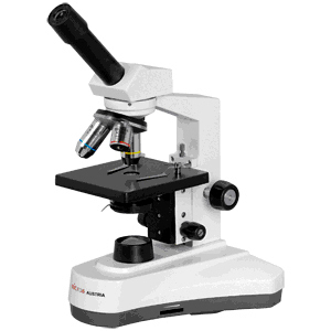 872d1f3a-cf36-11ef-9d2e-000c29e1040d